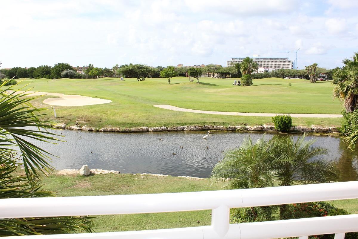 Divi Studio Palm Beach Buitenkant foto